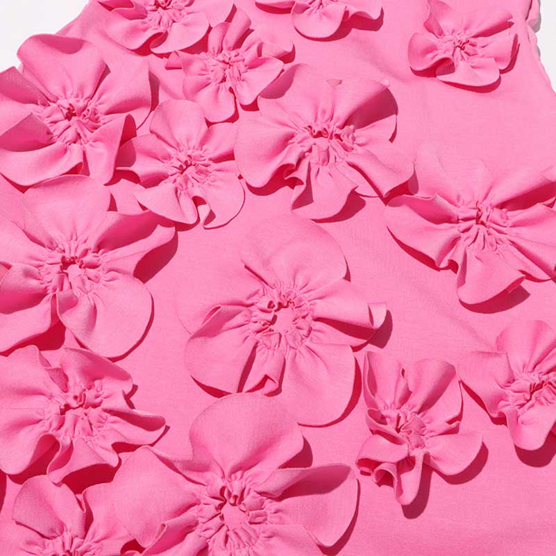 Sleeveless Standard Collar Short Dress Flower Embellished Mini Dress