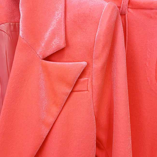 Women's Pink Single-Breasted Velvet Blazer & Pant Suit | 2-Piece Set