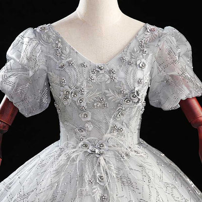 Silver Sparkle Quinceanera Dress Tulle Ball Gown Dress